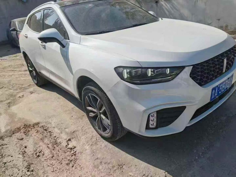 淄博20年长城汽车魏牌2