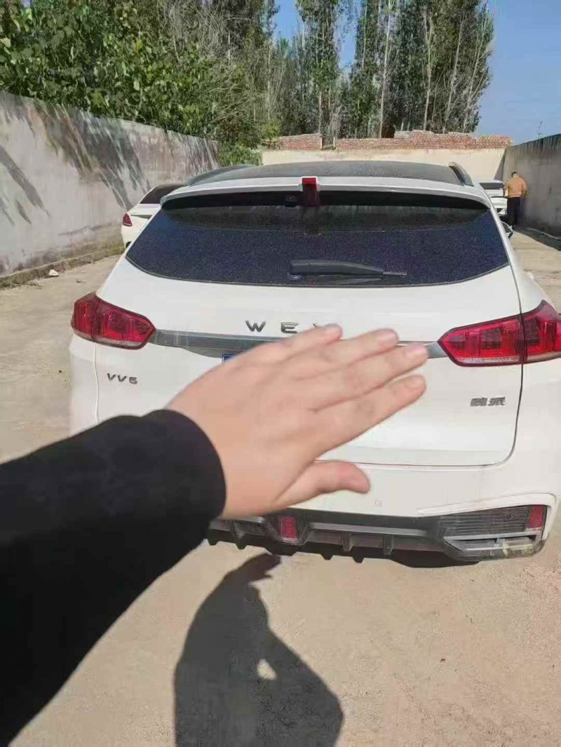 淄博20年长城汽车魏牌7