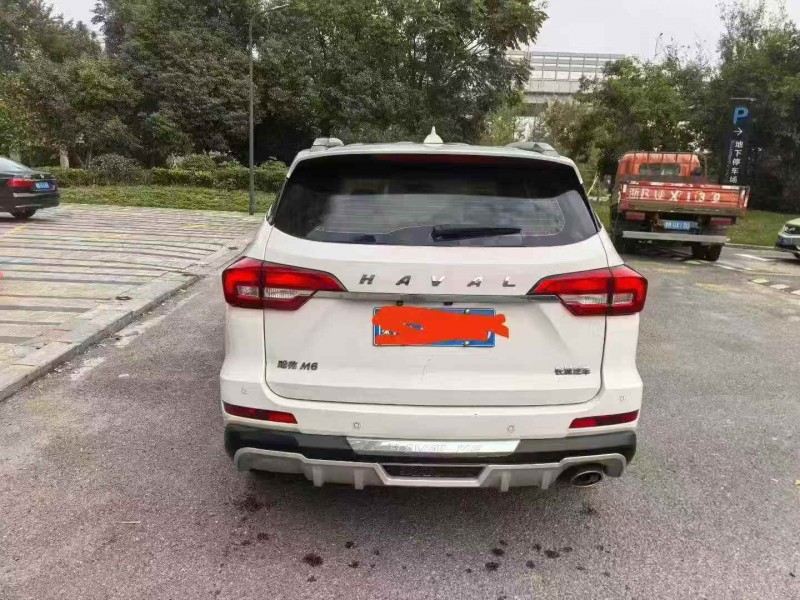 湖州20年哈弗M65