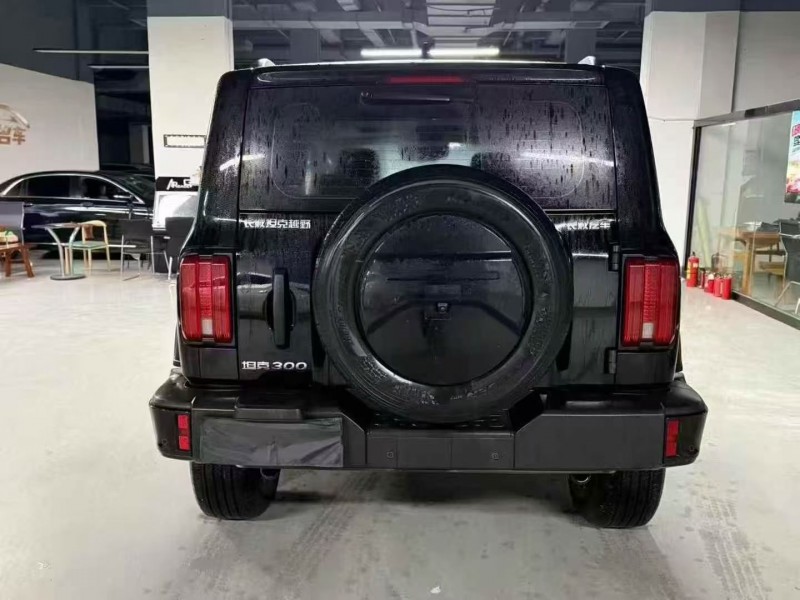 成都23年长城汽车坦克9