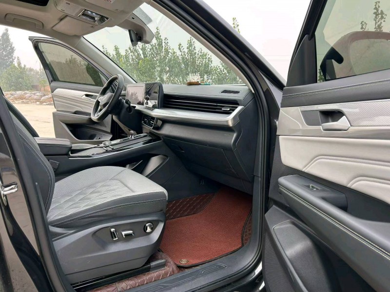 衡水24年大众揽巡9