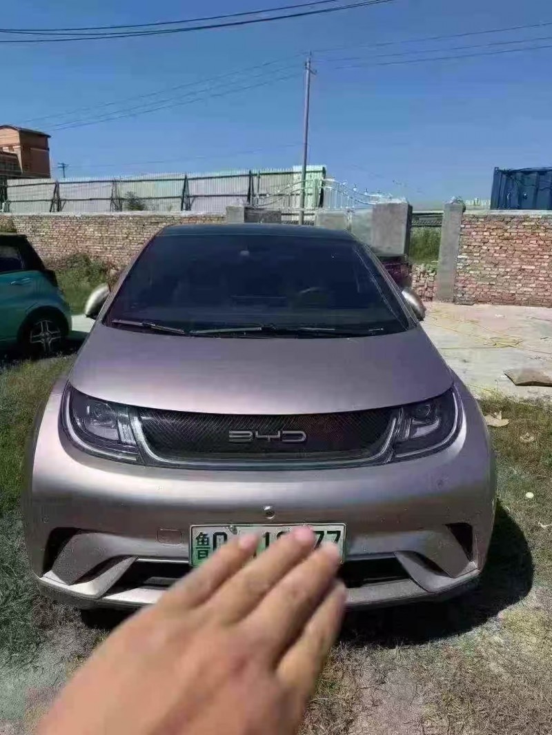 菏泽23年比亚迪海豚1