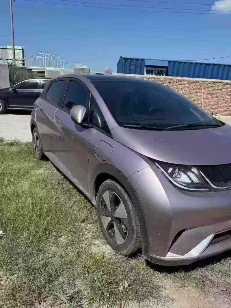 菏泽23年比亚迪海豚2