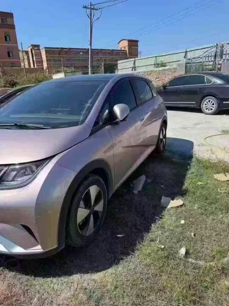 菏泽23年比亚迪海豚3