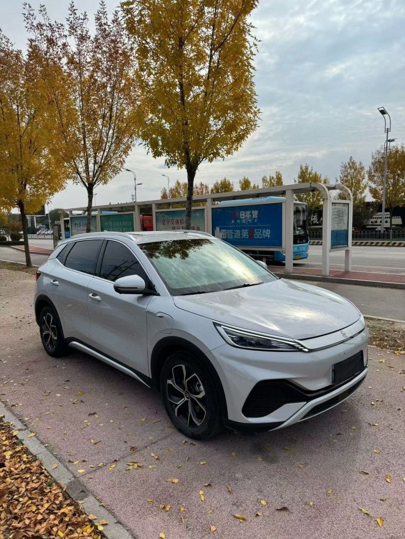 枣庄24年比亚迪元2