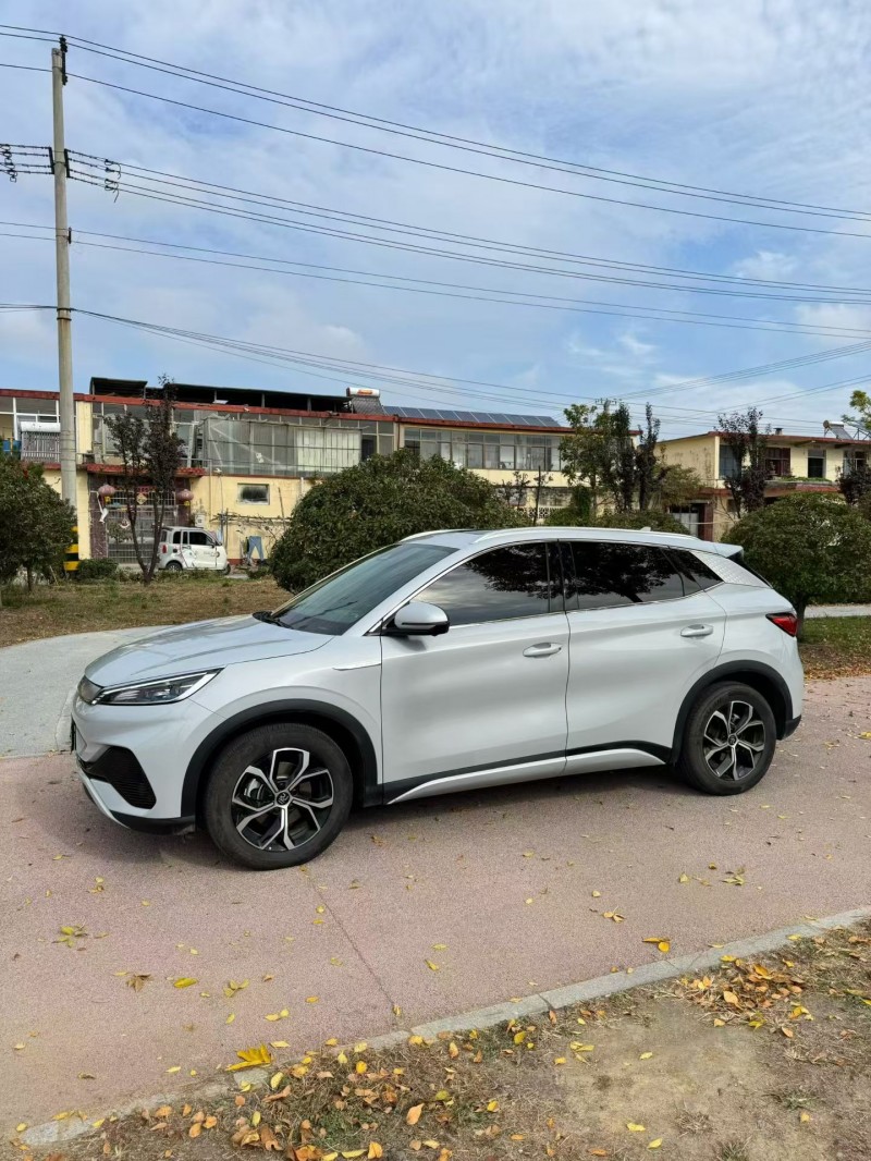 枣庄24年比亚迪元3