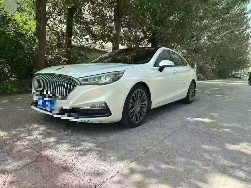 蚌埠19年红旗H54