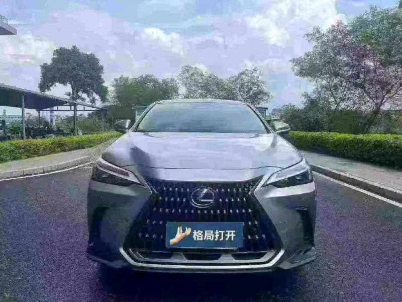 深圳23年雷克萨斯NX1