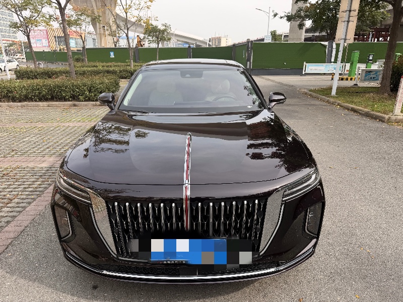 襄阳24年红旗H91