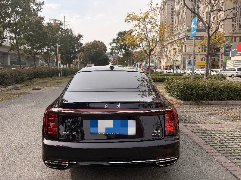 襄阳24年红旗H99