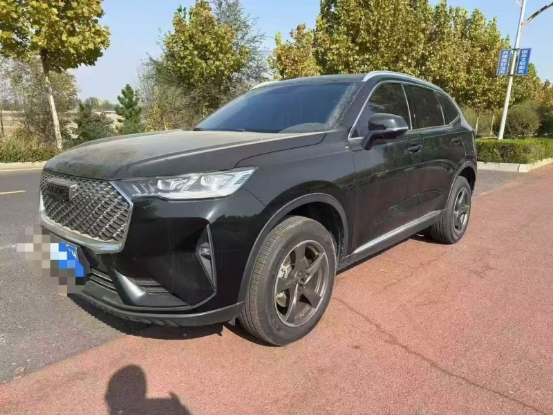 德州23年哈弗H63