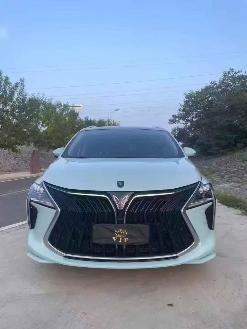 平顶山23年东风风行1