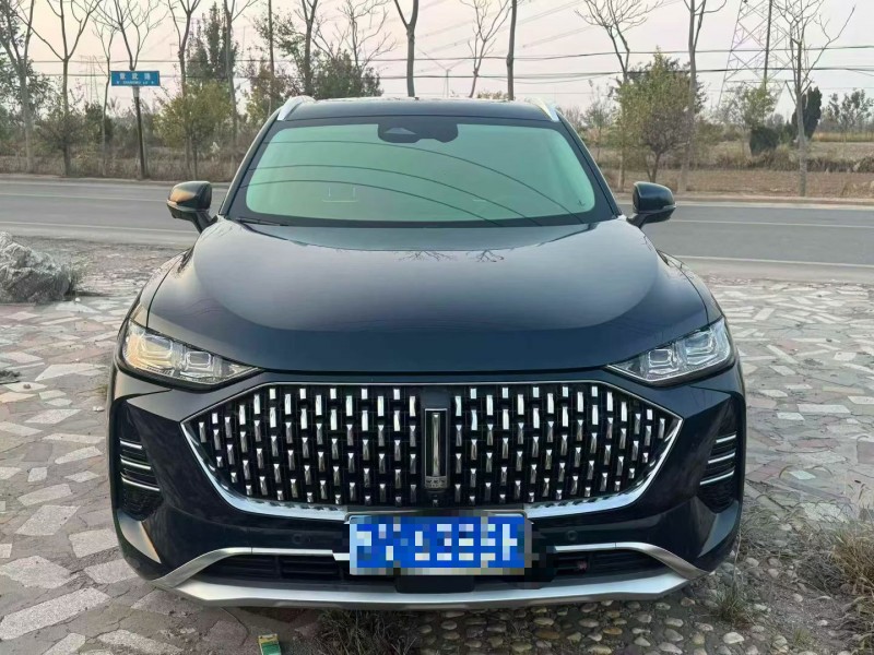 淄博22年长城汽车魏牌1