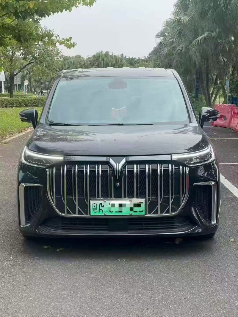 珠海24年岚图汽车梦想家1