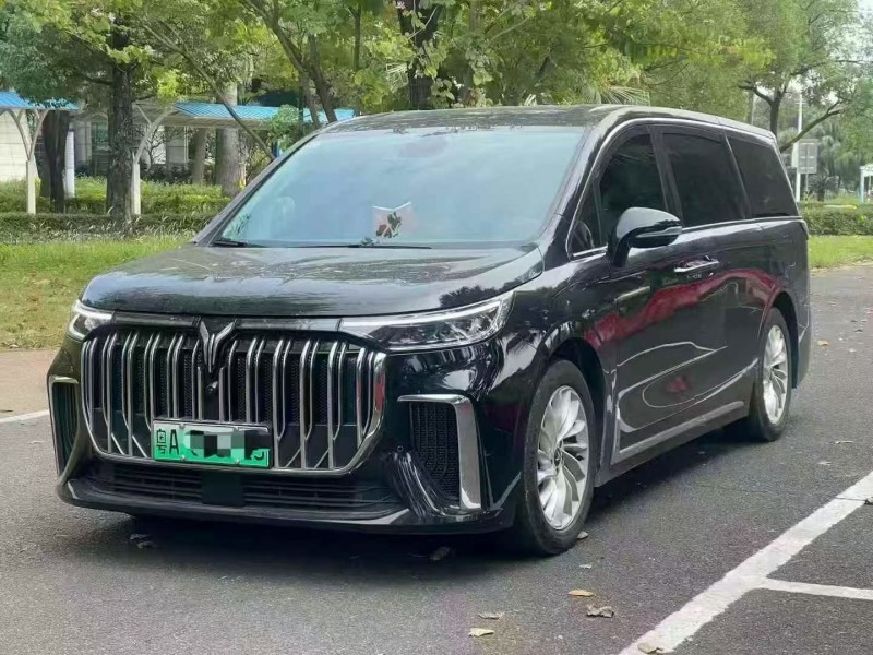 珠海24年岚图汽车梦想家2