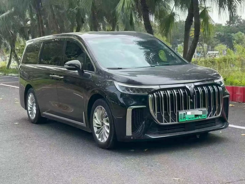 珠海24年岚图汽车梦想家3