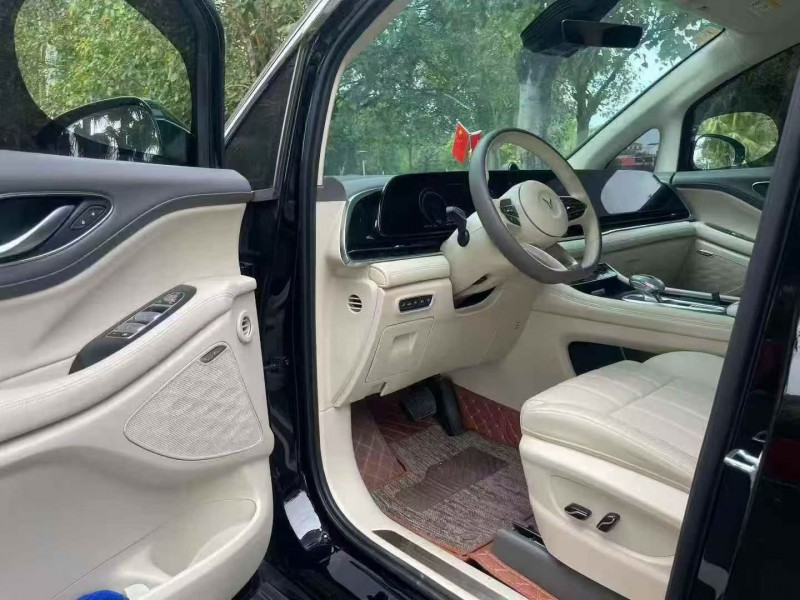 珠海24年岚图汽车梦想家5