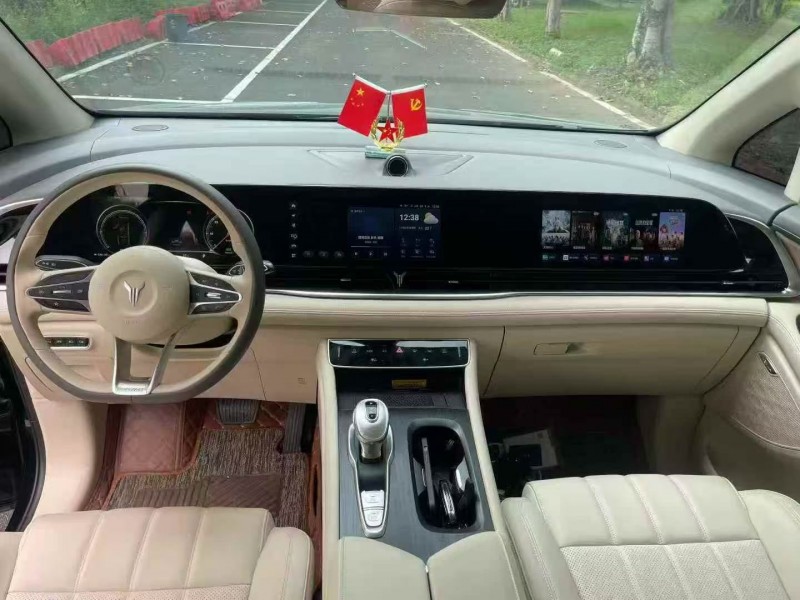 珠海24年岚图汽车梦想家6