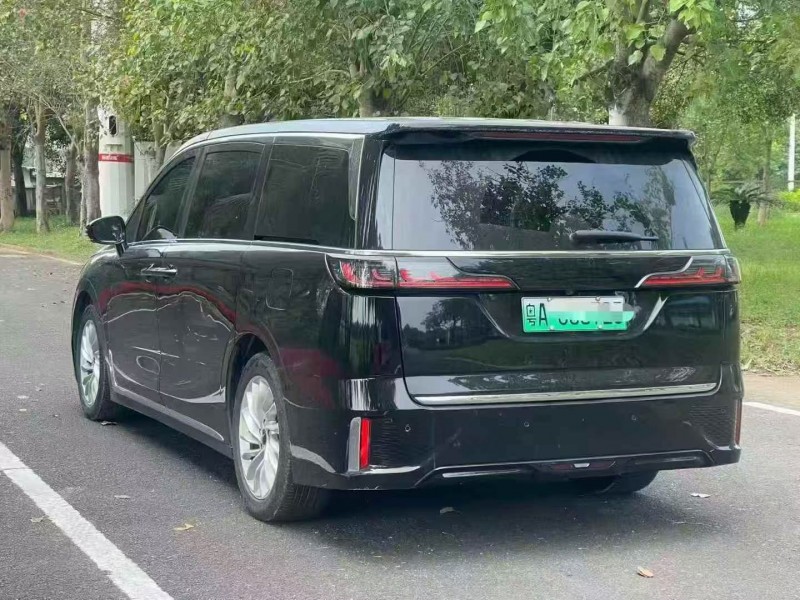 珠海24年岚图汽车梦想家9