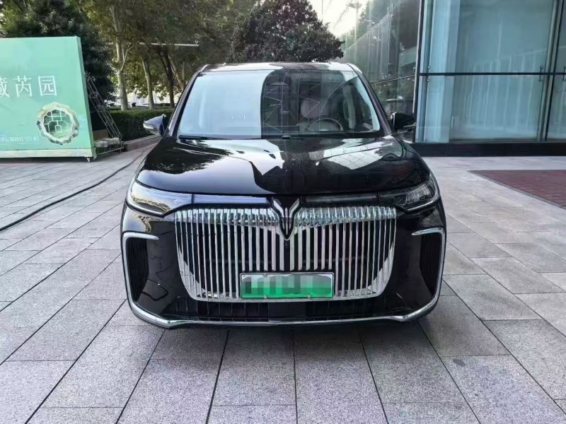 沧州25年岚图汽车梦想家1