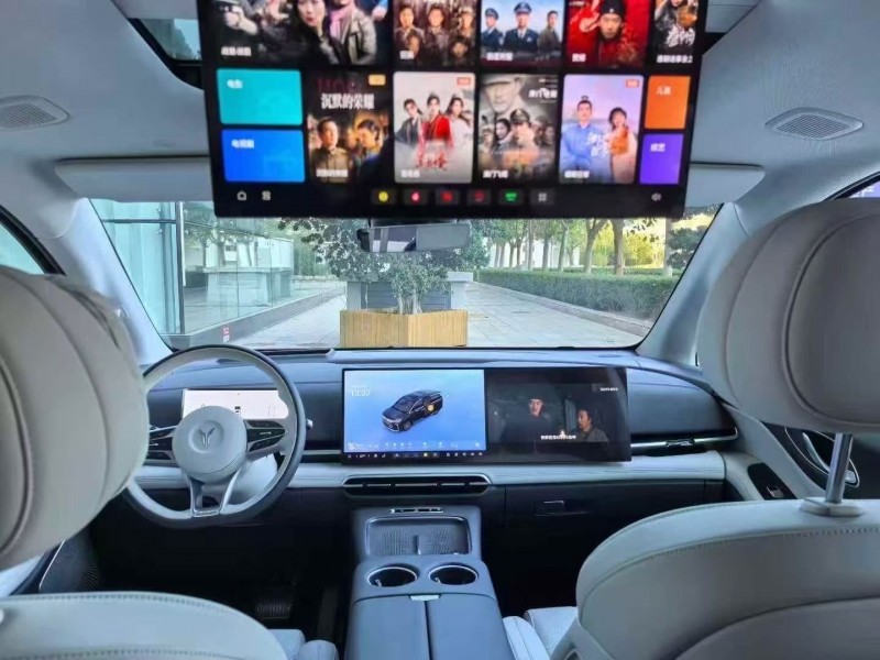 沧州25年岚图汽车梦想家7