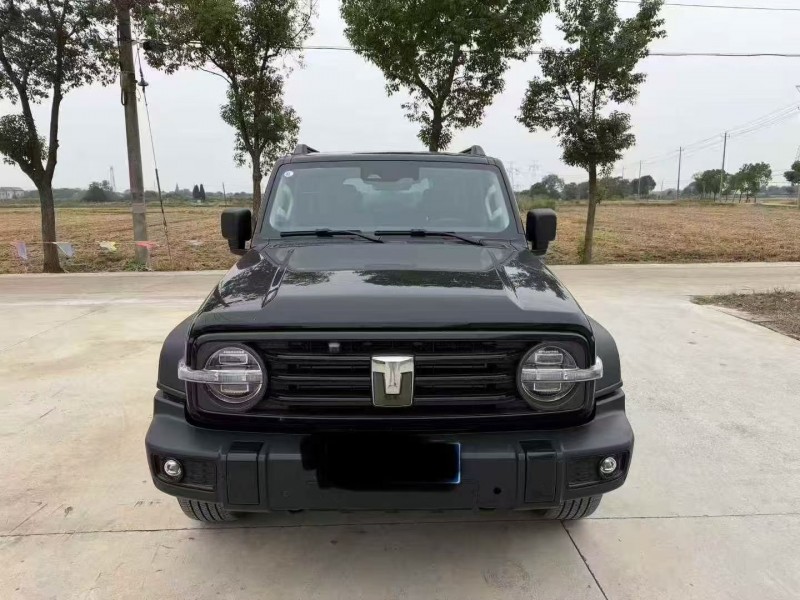 徐州24年长城汽车坦克1