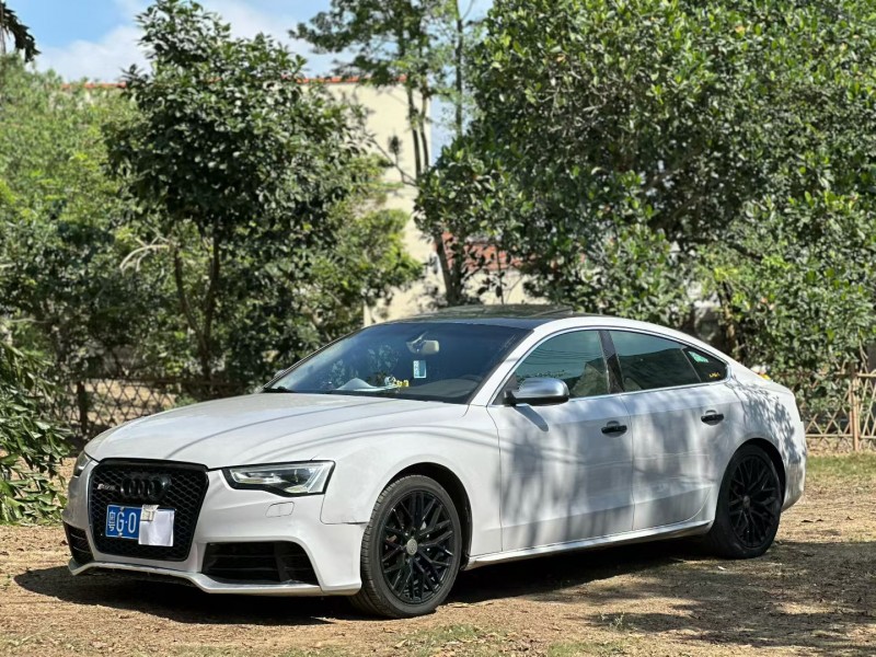 湛江12年奥迪A53