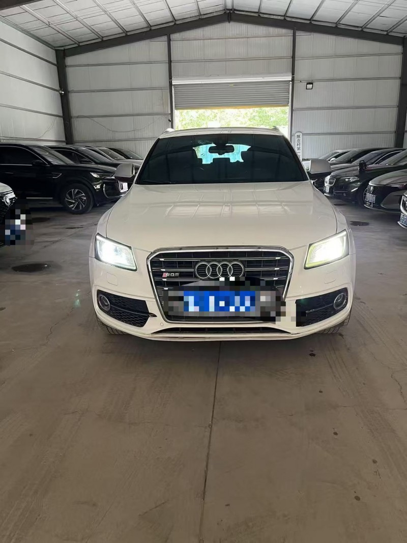 菏泽15年奥迪SQ51