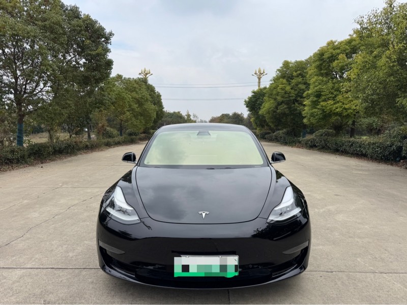 盐城20年特斯拉MODEL 31