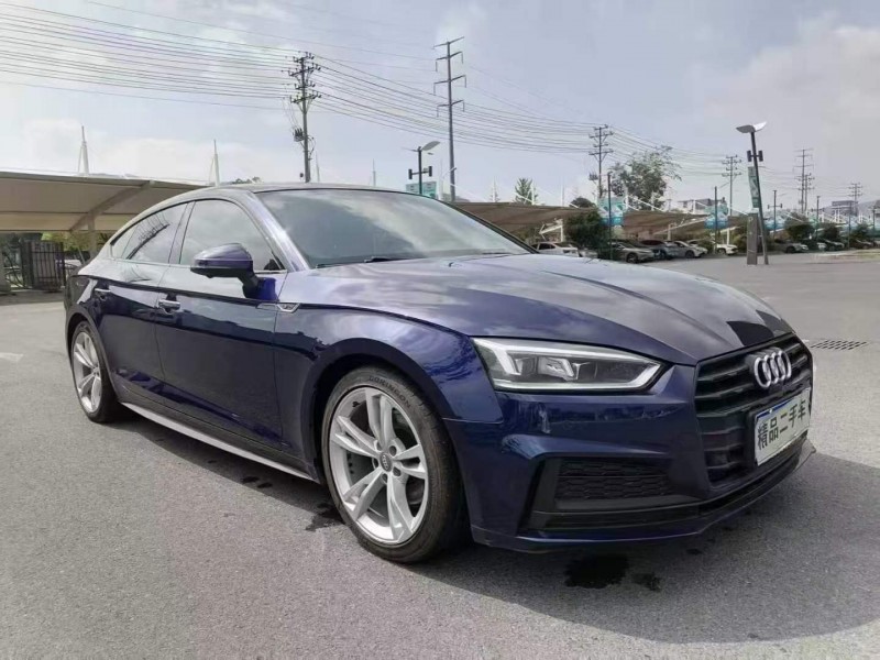 台州20年奥迪A51