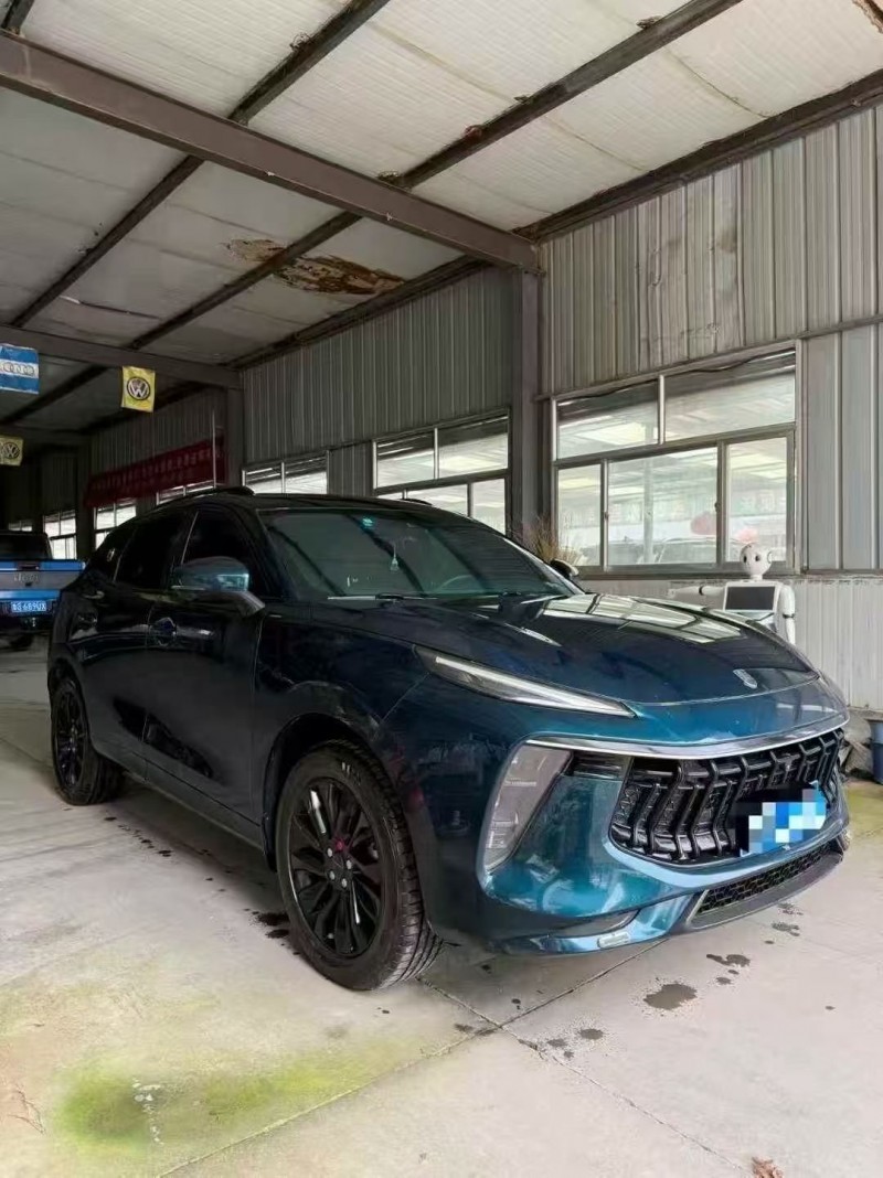 淄博22年东风风行3