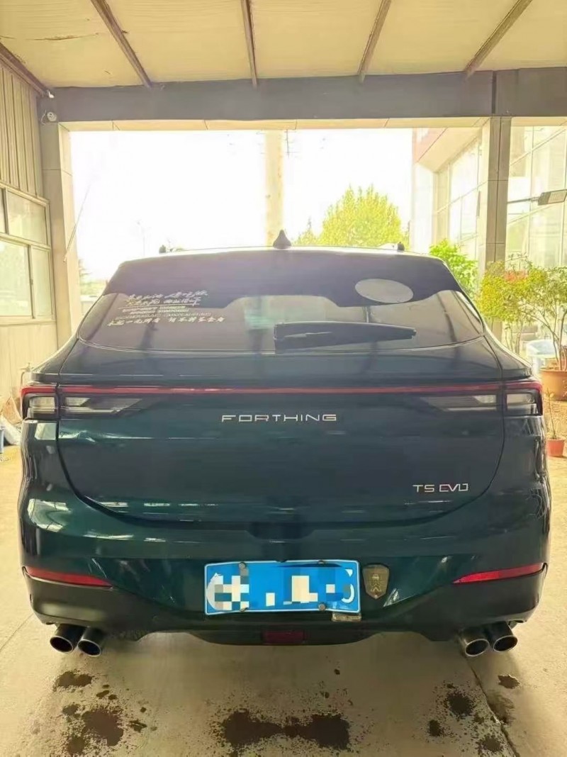 淄博22年东风风行9