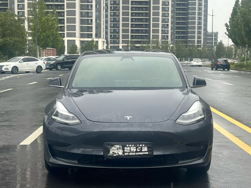 郑州20年特斯拉MODEL 31