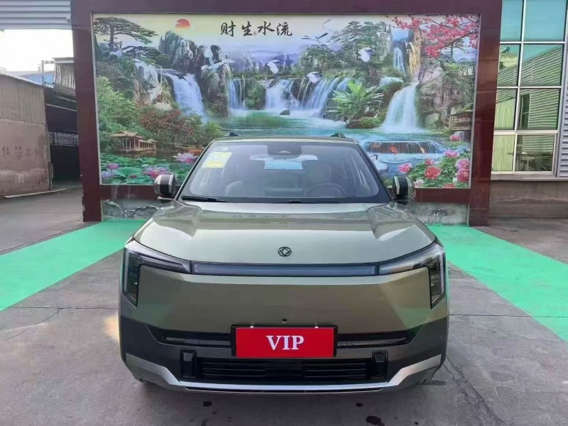 枣庄25年东风纳米1