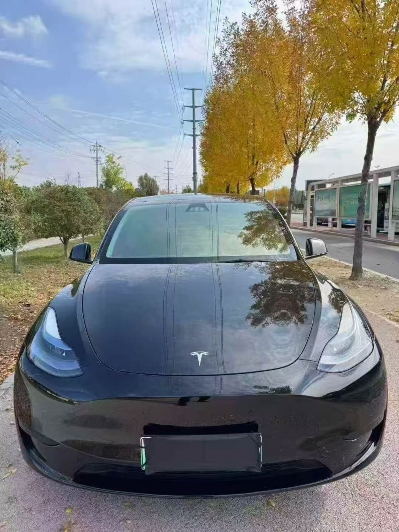 泰安24年特斯拉MODEL Y1