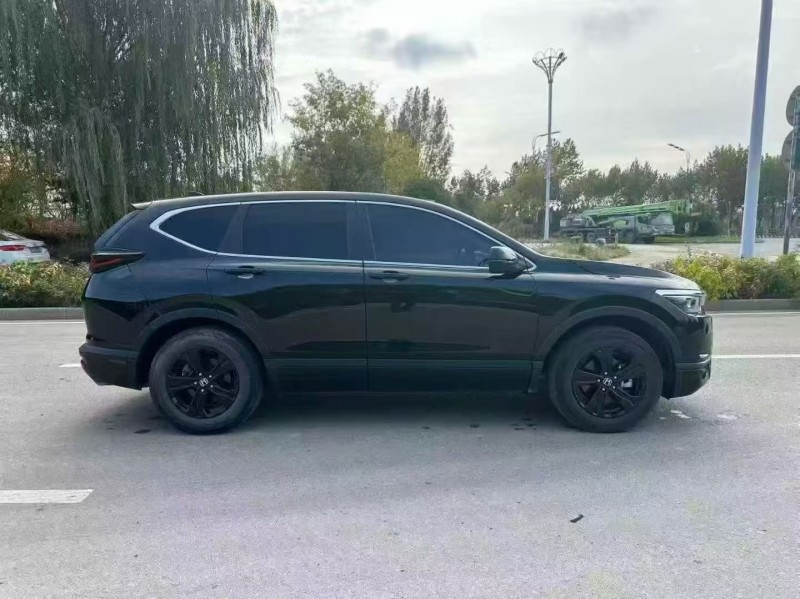 枣庄23年本田皓影7