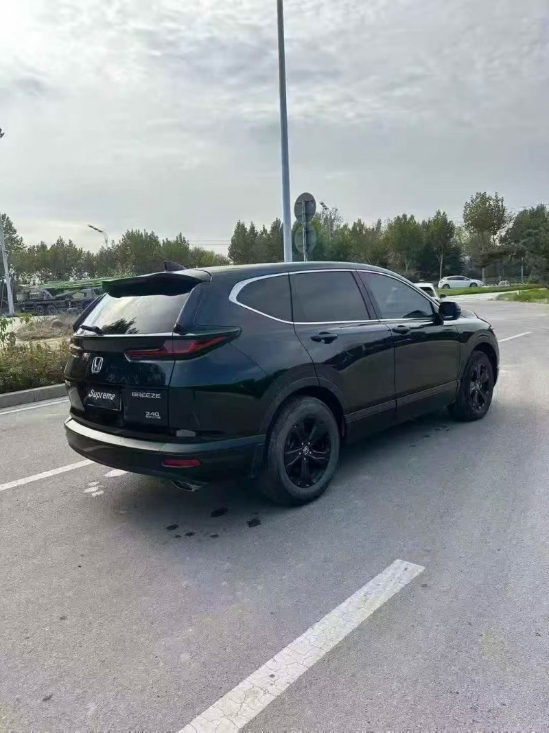 枣庄23年本田皓影9