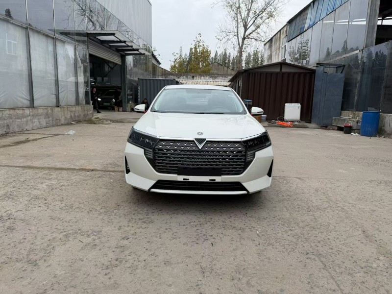 徐州25年启辰D601