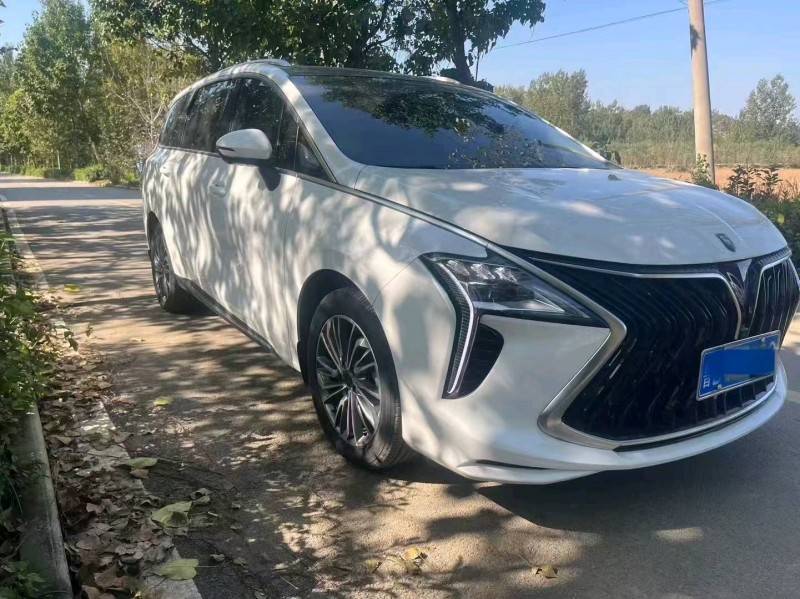 枣庄24年东风风行1