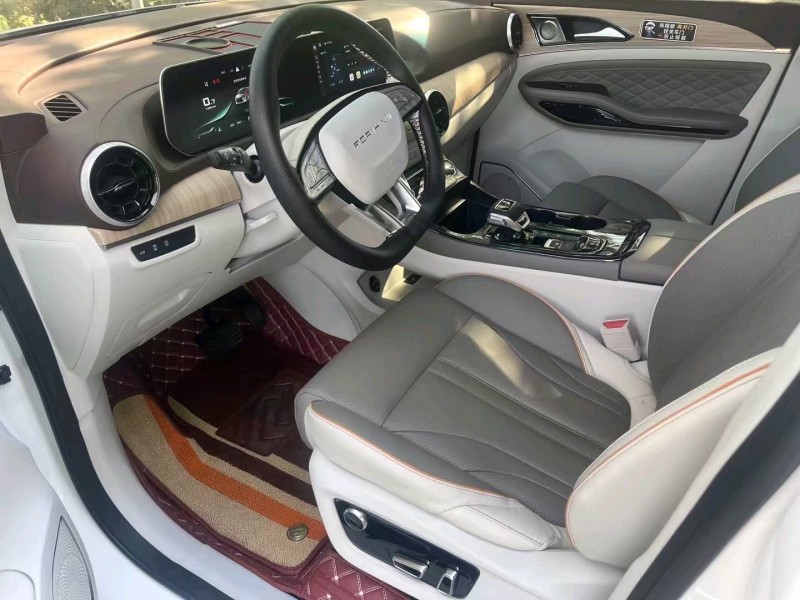 枣庄24年东风风行5