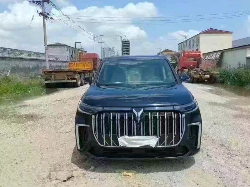 菏泽24年岚图汽车梦想家1