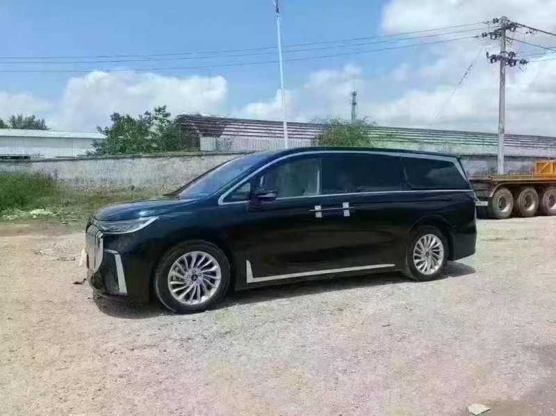 菏泽24年岚图汽车梦想家2