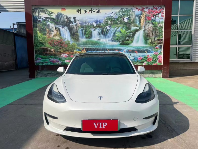 临沂20年特斯拉MODEL 31