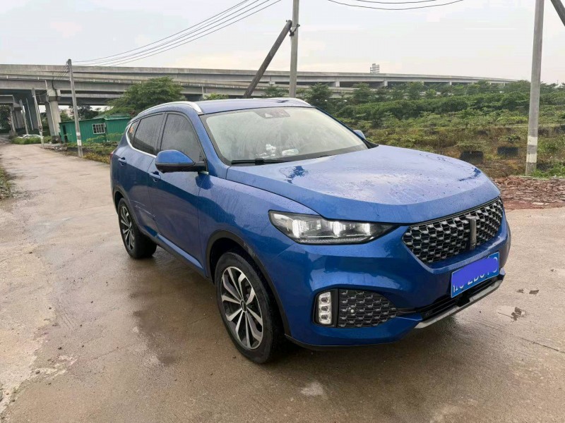 中山20年长城汽车WEY2