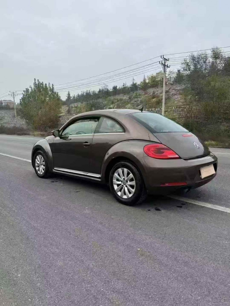 邯郸15年大众甲壳虫9