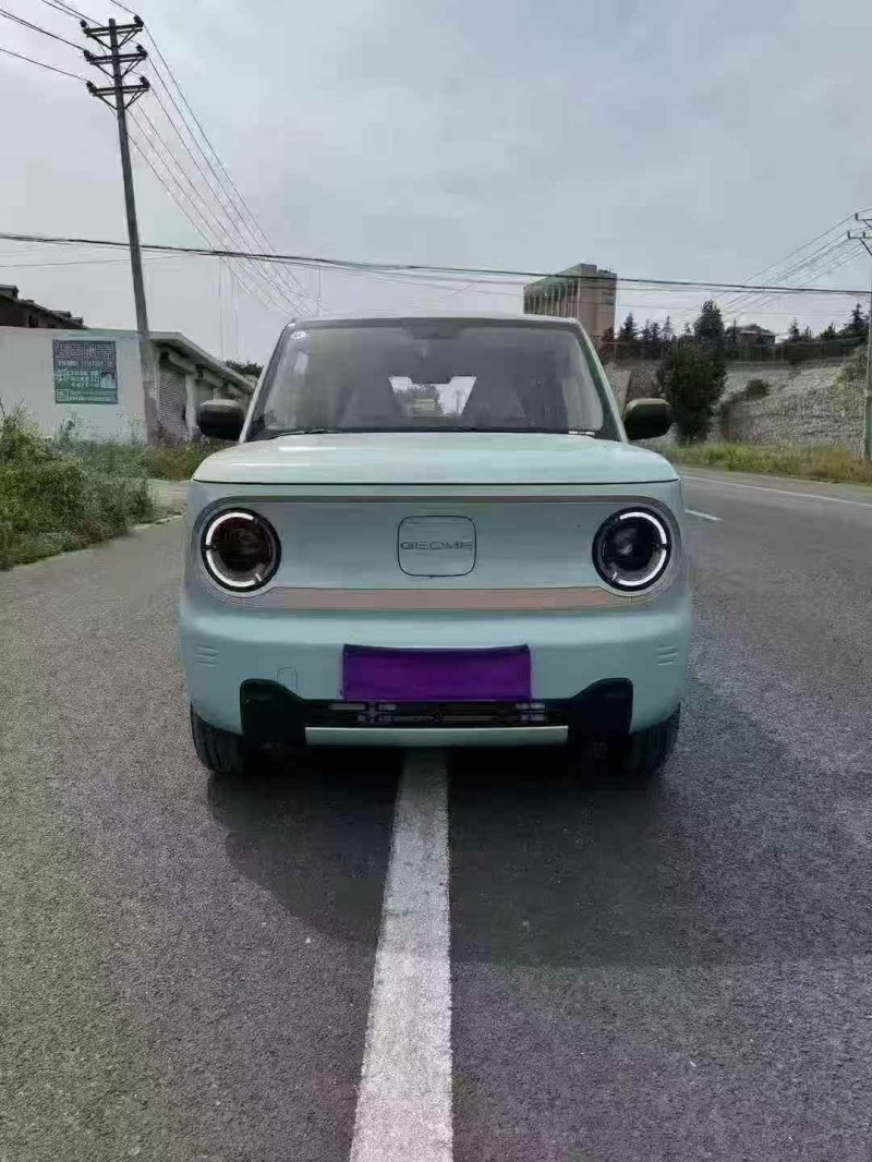 邯郸24年吉利熊猫1