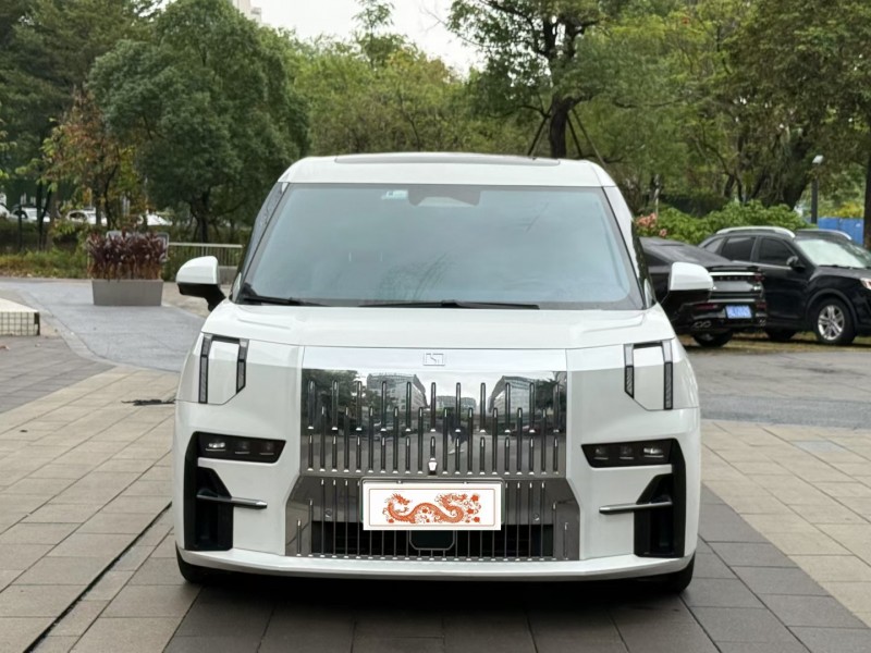 佛山23年极氪汽车0091