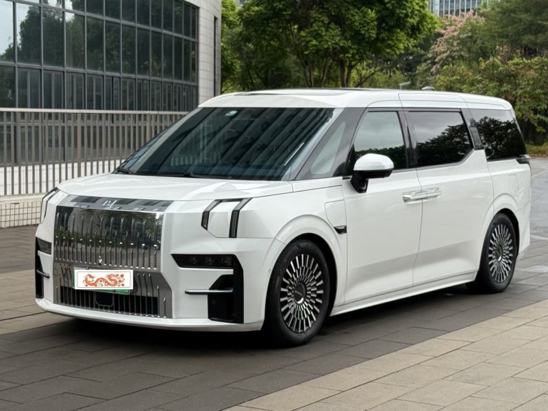 佛山23年极氪汽车0093