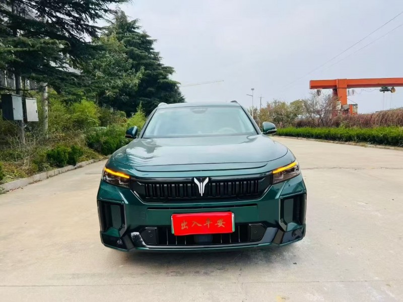 烟台24年岚图汽车FREE1