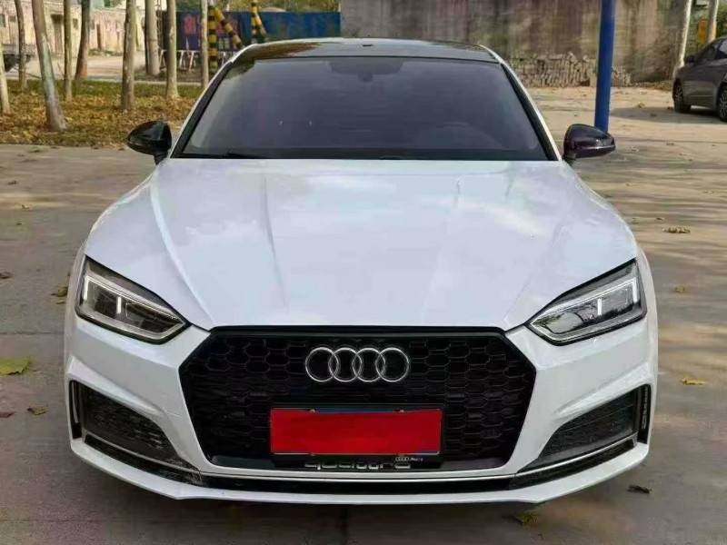 鹤壁20年奥迪A51